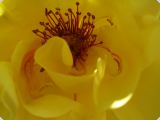 DSCF0546