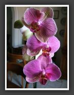 DSCF0719