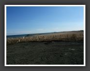 DSCF0894
