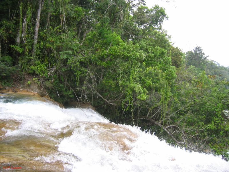 25_3 Misol Ha et Agua Azul  136.jpg