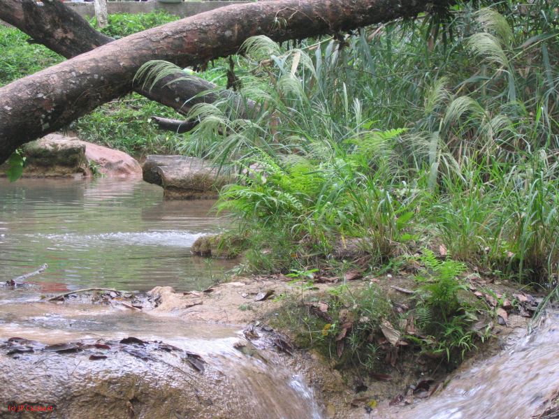 25_3 Misol Ha et Agua Azul  153.jpg