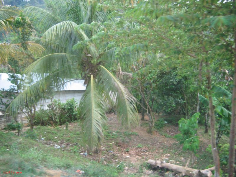 25_3 Misol Ha et Agua Azul  050.jpg