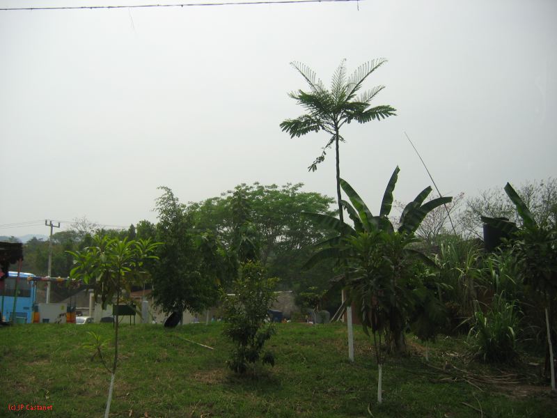 25_3 Misol Ha et Agua Azul  056.jpg