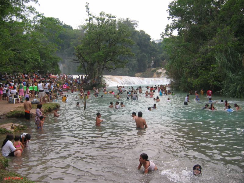 25_3 Misol Ha et Agua Azul  065.jpg