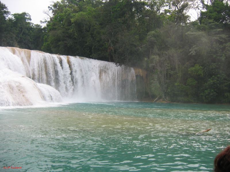25_3 Misol Ha et Agua Azul  085.jpg