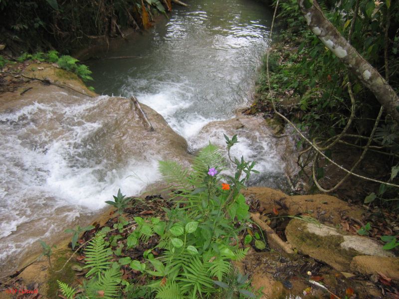 25_3 Misol Ha et Agua Azul  126.jpg