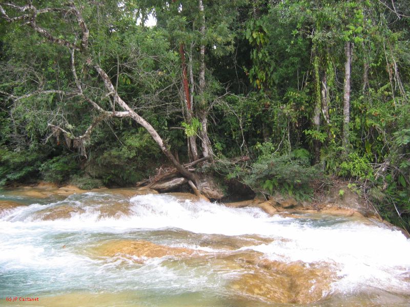 25_3 Misol Ha et Agua Azul  135.jpg