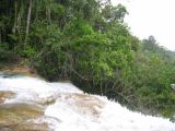 25_3 Misol Ha et Agua Azul  136.jpg