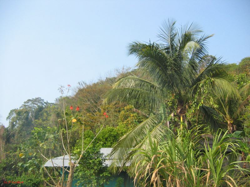 24_3 Bonampak  019.jpg