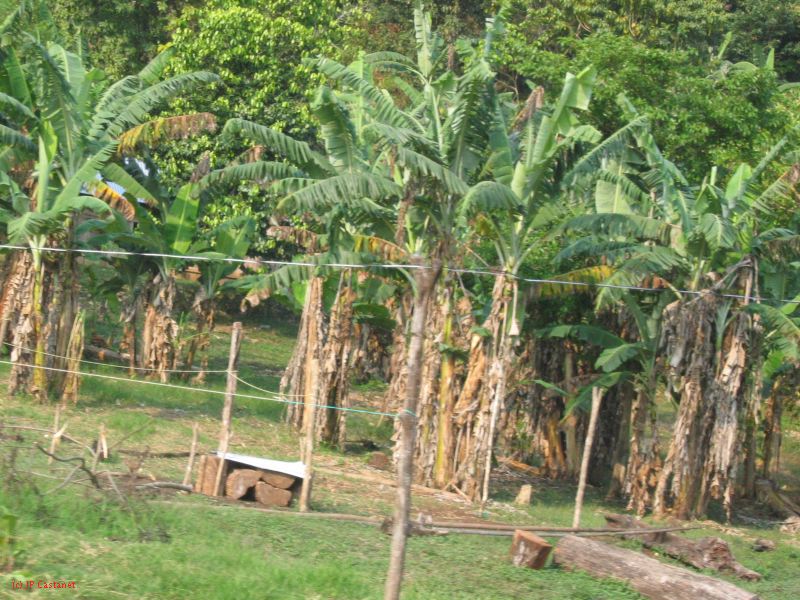 24_3 Bonampak  020.jpg