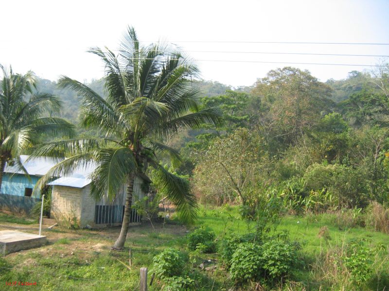 24_3 Bonampak  025.jpg