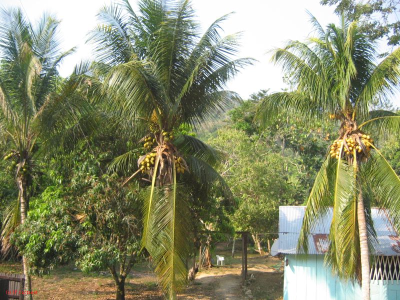 24_3 Bonampak  027.jpg