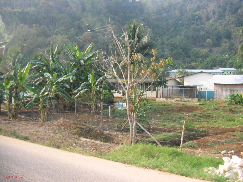24_3 Bonampak  010.jpg