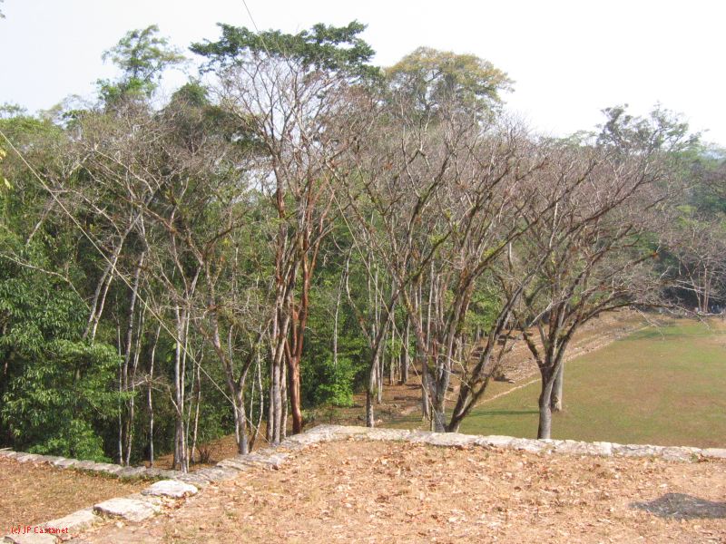 24_3 Bonampak  067.jpg