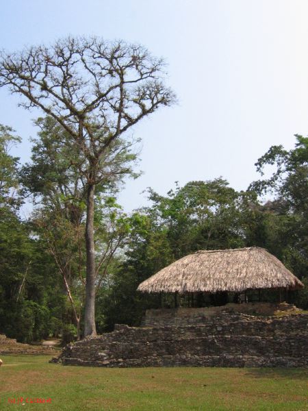 24_3 Bonampak  107.jpg