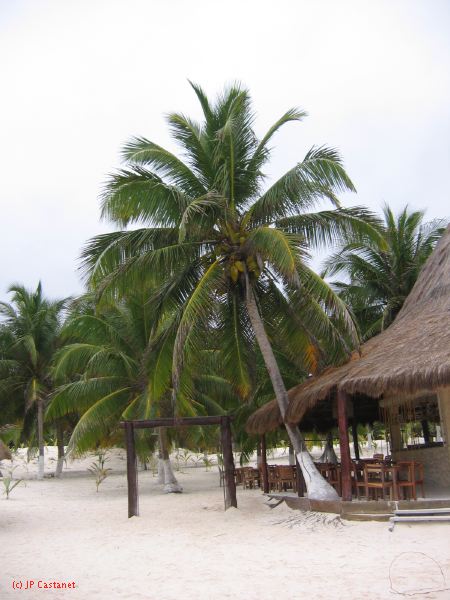 26_3 Tulum cabañas  244.jpg