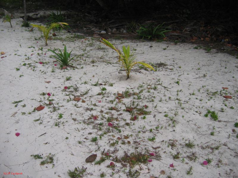 26_3 Tulum cabañas  215.jpg