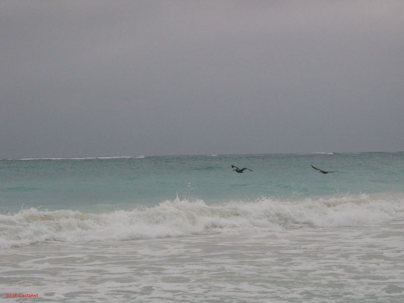 26_3 Tulum cabañas  220.jpg