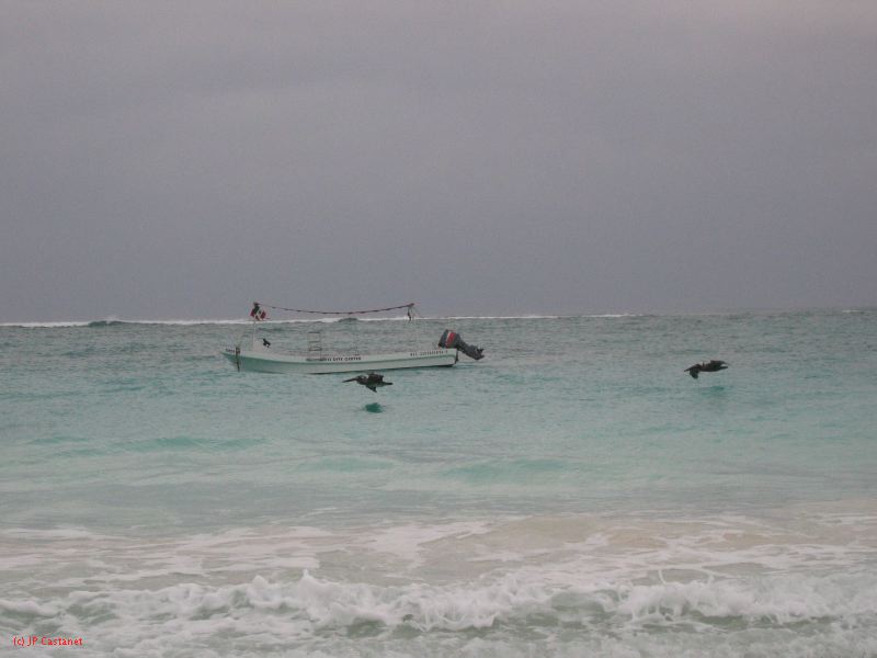 26_3 Tulum cabañas  221.jpg