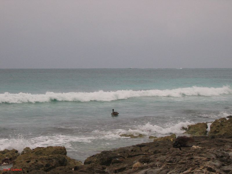 26_3 Tulum cabañas  223.jpg