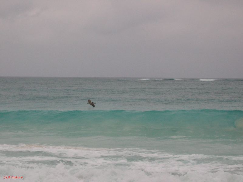 26_3 Tulum cabañas  225.jpg