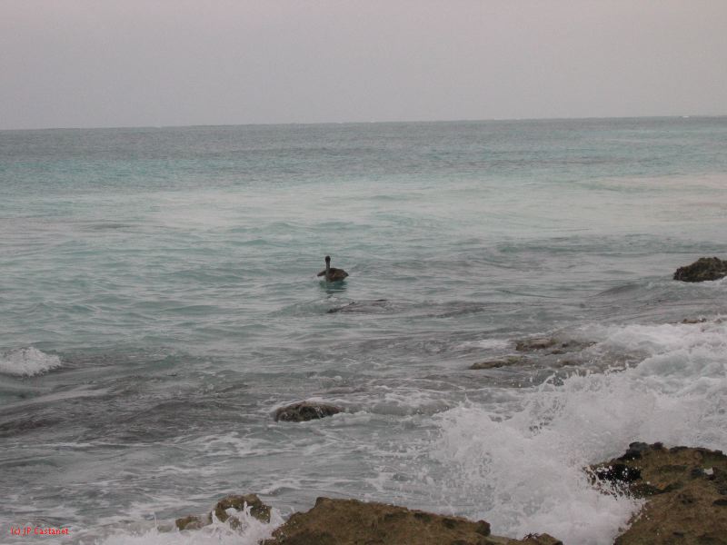 26_3 Tulum cabañas  227.jpg