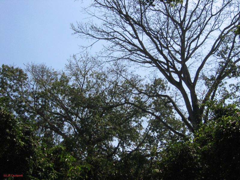 22_3  La Venta  119.jpg