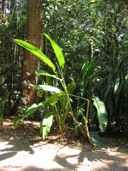 22_3  La Venta  130.jpg