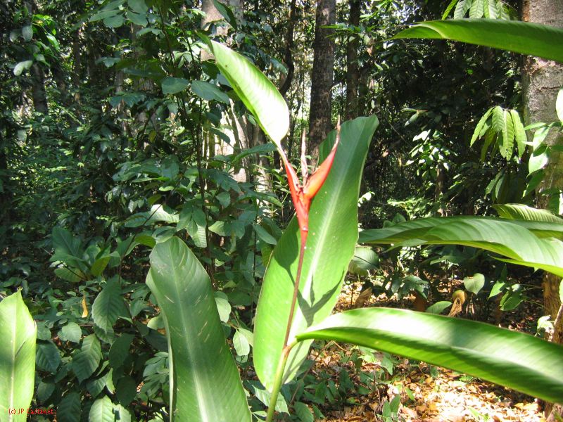 22_3  La Venta  131.jpg