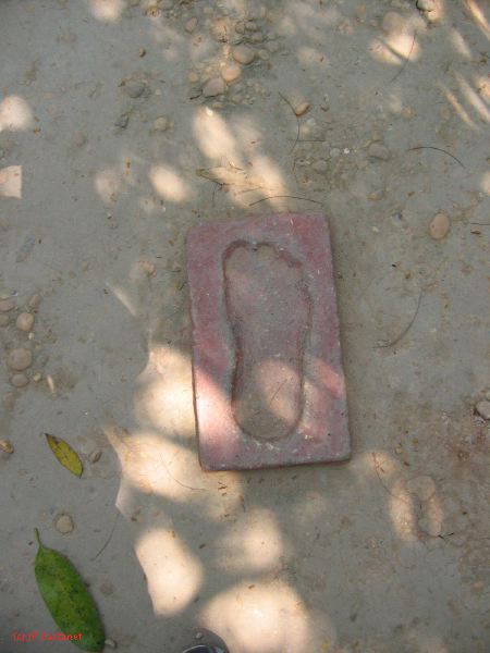22_3  La Venta  146.jpg