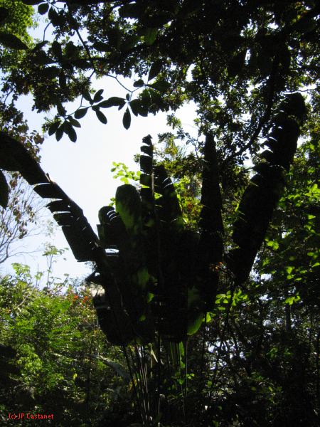 22_3  La Venta  157.jpg
