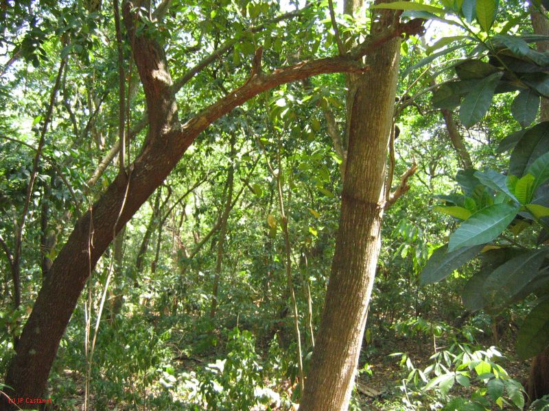 22_3  La Venta  163.jpg