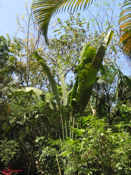 22_3  La Venta  177.jpg