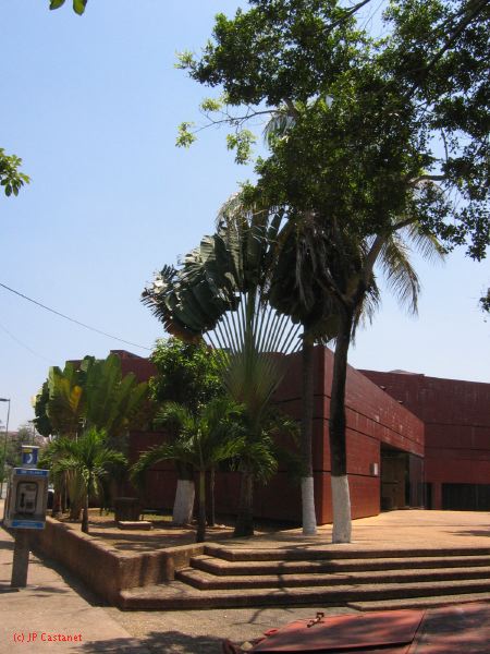 22_3  La Venta  193.jpg