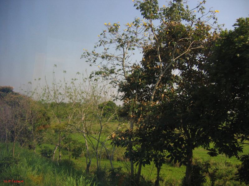 22_3  La Venta  217.jpg