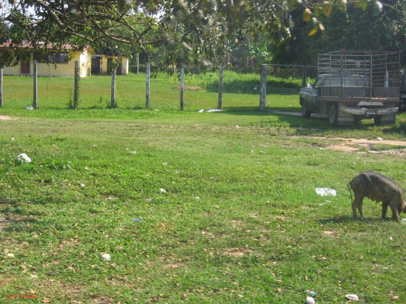 22_3  La Venta  221.jpg