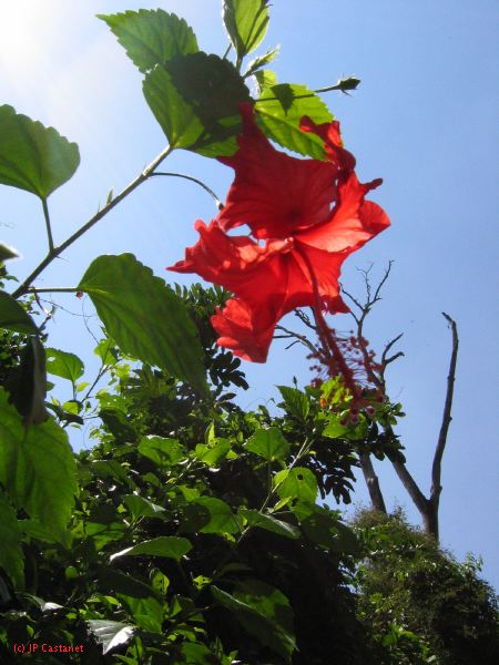 22_3  La Venta  021.jpg
