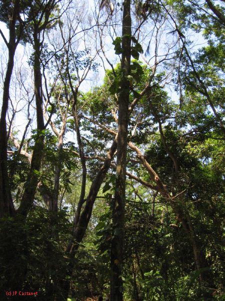 22_3  La Venta  003.jpg