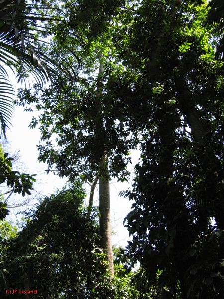 22_3  La Venta  024.jpg