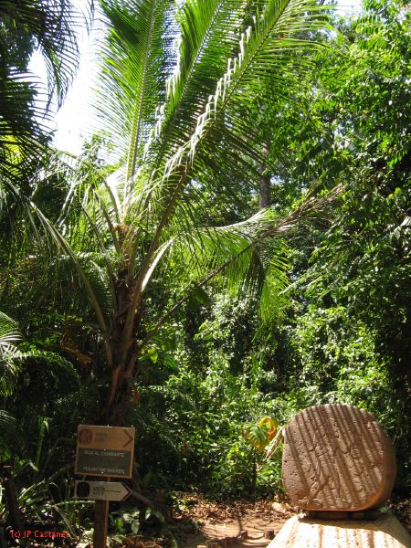 22_3  La Venta  033.jpg