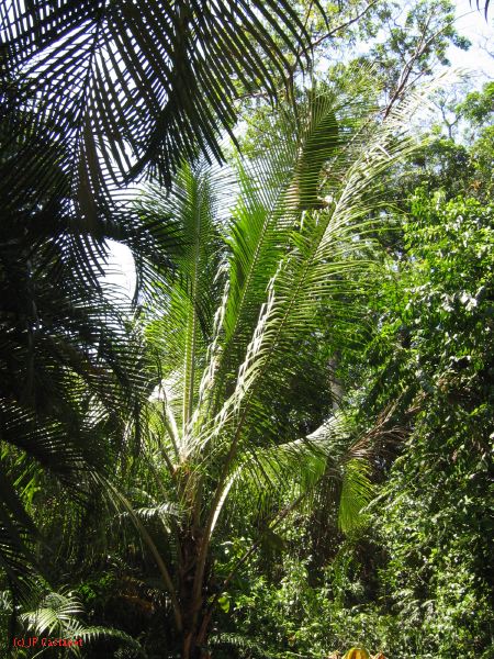 22_3  La Venta  034.jpg