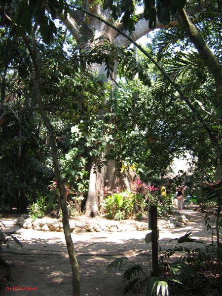22_3  La Venta  035.jpg