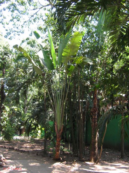 22_3  La Venta  036.jpg