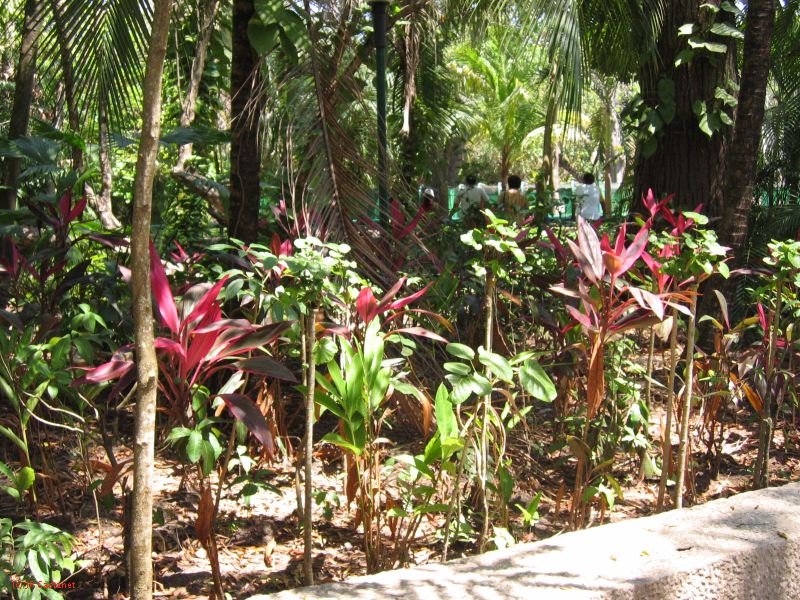 22_3  La Venta  038.jpg