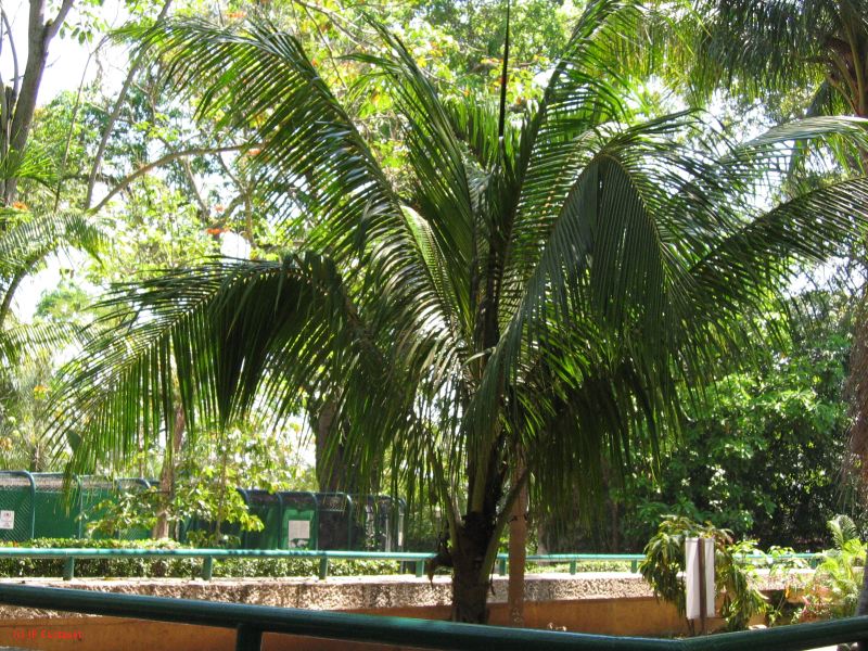 22_3  La Venta  044.jpg