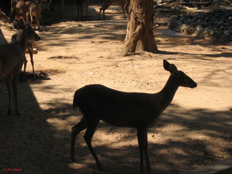 22_3  La Venta  047.jpg