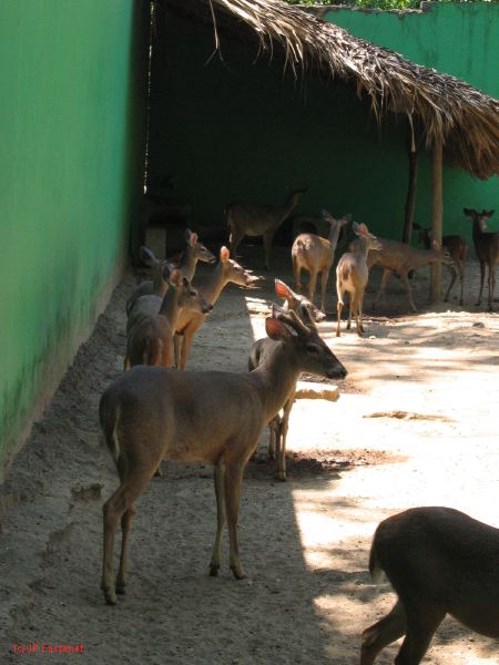 22_3  La Venta  048.jpg