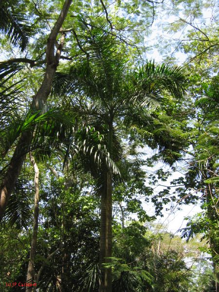 22_3  La Venta  049.jpg