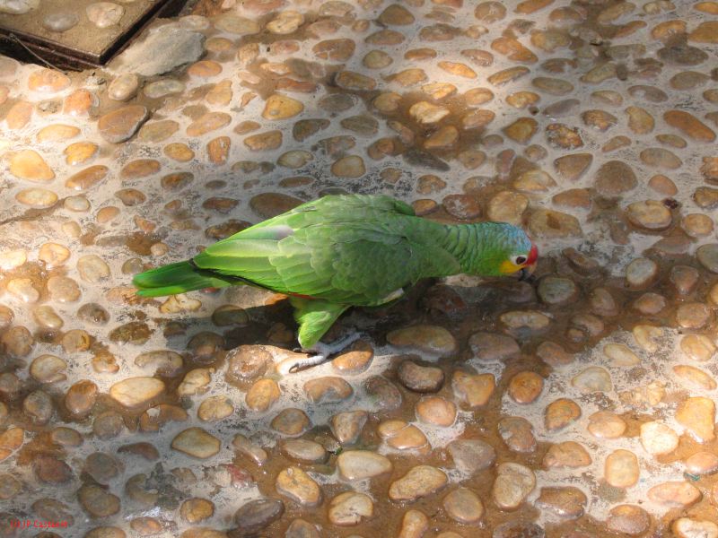 22_3  La Venta  051.jpg