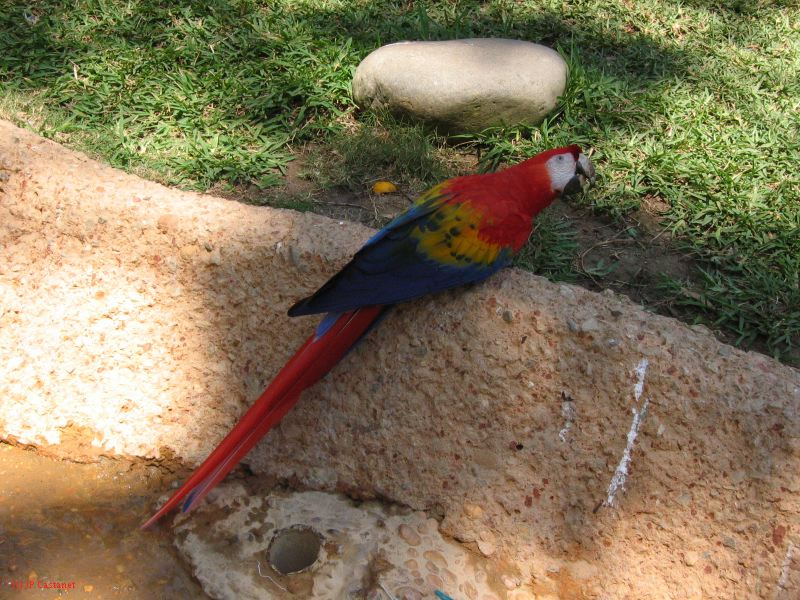 22_3  La Venta  053.jpg